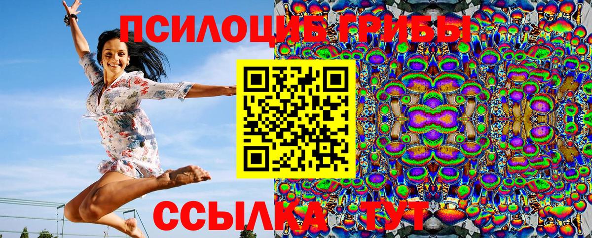Псилоцибиновые грибы Psilocybe Ливны