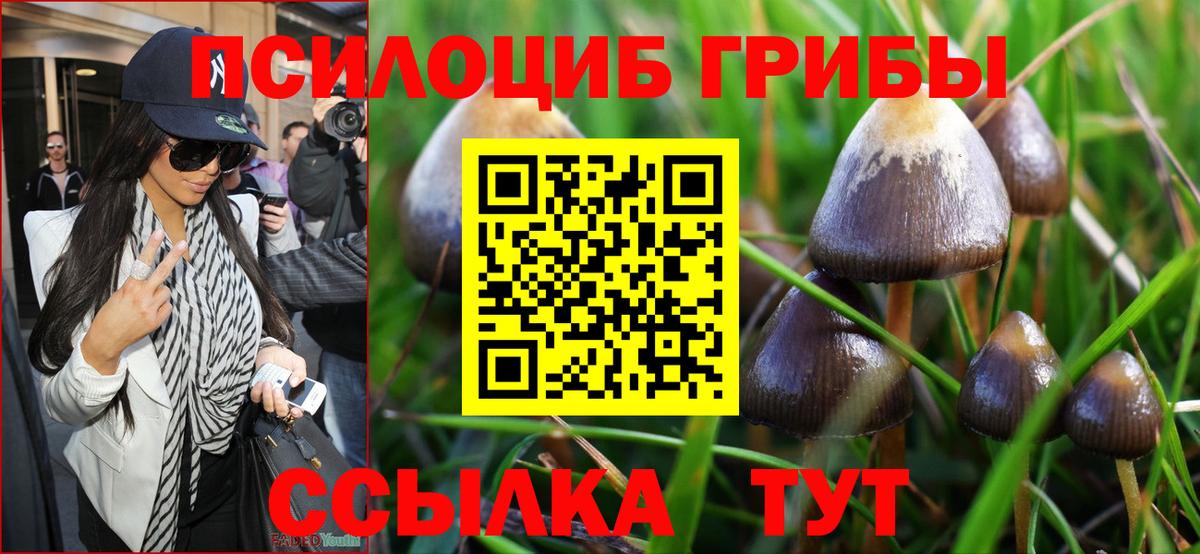 Ливны  Галлюциногенные грибы Cubensis  Вход с VPN 